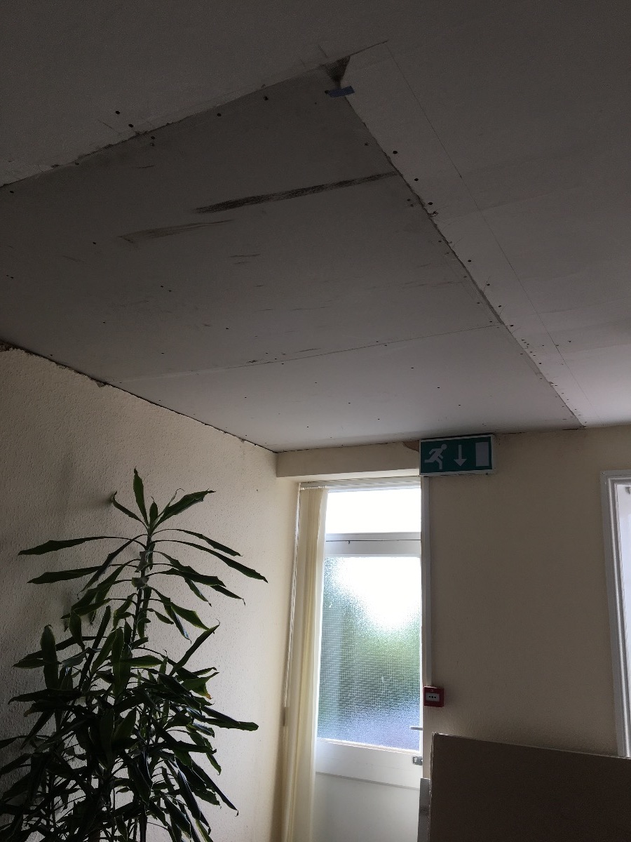 Company: Image 10
